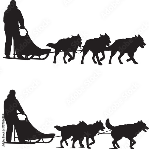 Silhouette of a person mushing a dog sled team across a snowy landscape
