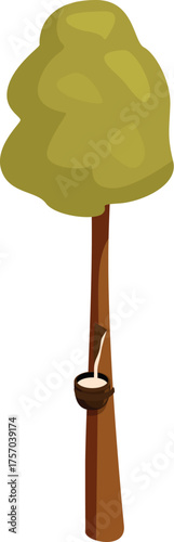 Latex dripping into a coconut shell from a tapped rubber tree, promoting sustainable resource extraction