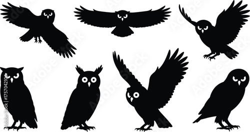 Owl silhouette vector, bird poses set, flying and perched owls, wildlife icon, nocturnal animal illustration, black shapes, nature design reference