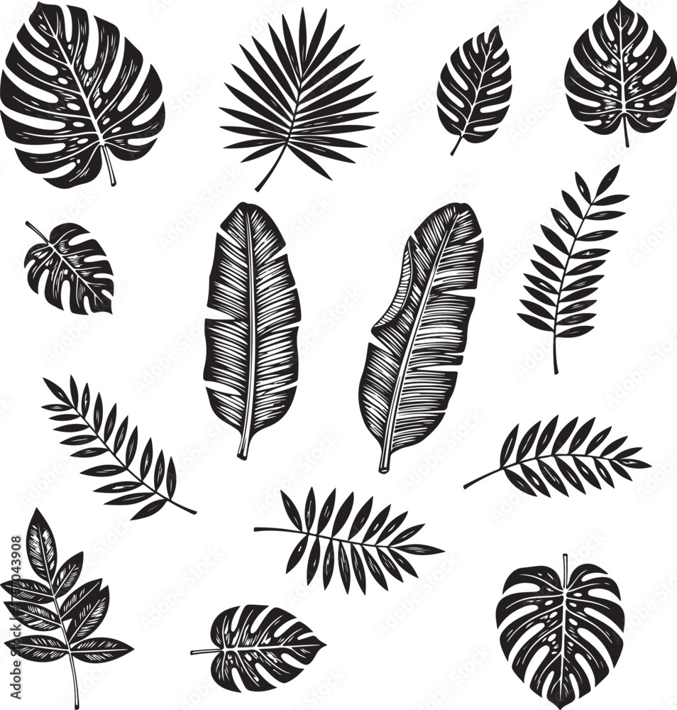 Obraz premium Collection of black and white tropical leaves and botanical elements in a stylized artistic design