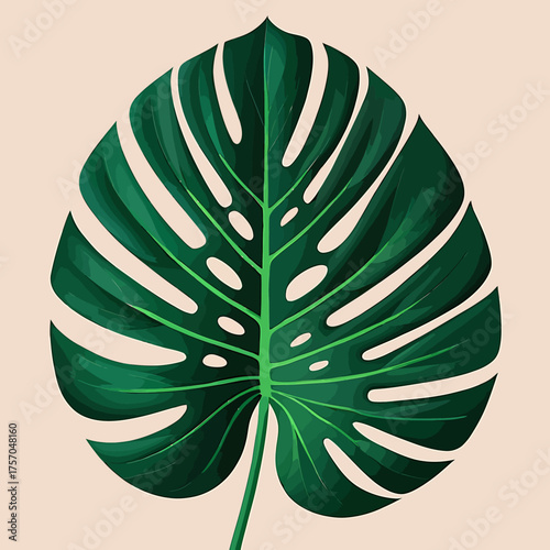 Vector art of a vibrant monstera deliciosa leaf with intricate details on a light background