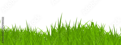 Green Grass cut out. green grass isolated on white background - 1
