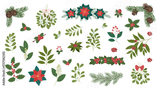Christmas botanical set with mistletoe, holly, poinsettia, pine branches, cones and berries. Winter floral collection for festive decoration, invitations, cards and seasonal design.
