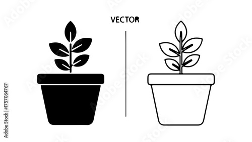 Potted plant icon with transparent background