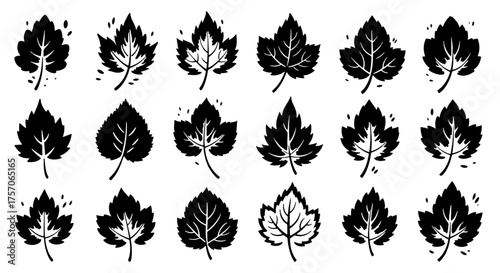 Ink Maple Leaf Glyph Icons - Bold Monochrome Autumn Foliage Silhouettes