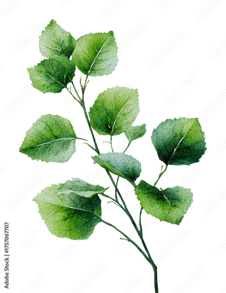 Fototapeta premium Vibrant green leaves nature isolated on transparent background