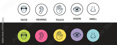 Human senses icon set. Vision eye, smell nose, hearing ear, touch hand, taste mouth with tongue. Simple line icons and black circle. Five senses of human nervous system. Vector illustration.