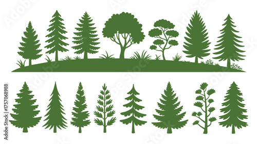 Diverse collection of green pine trees and forest foliage silhouettes for nature design