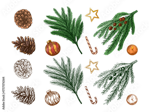 Hand drawn vintage sketch set of christmas pine branches cones baubles stars candies and candles in color and monochrome version