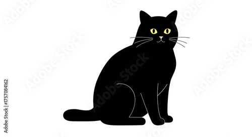 Adorable black cat sitting and looking alert with wide eyes expressing curiosity and playfulness in studio portrait isolated on white background