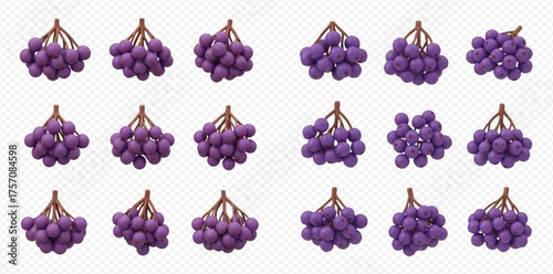 Isometric bunches of purple rowan berries on a transparent background.