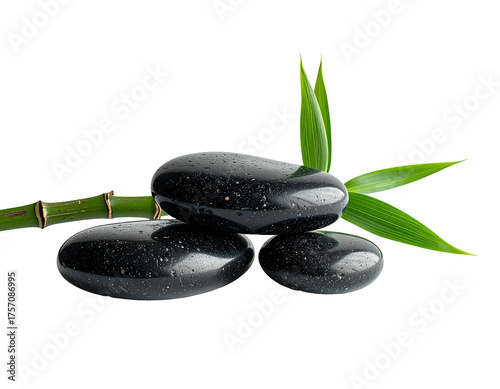 Stacked smooth dark stones with bamboo and vibrant green leaves against a stark black background