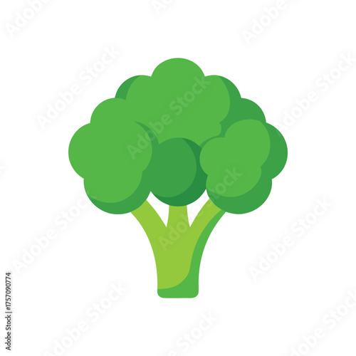 Vector art of a vibrant green broccoli head, a healthy vegetable