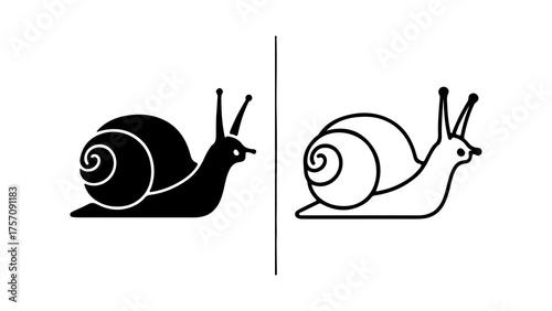 Snail outline and solid shapes with transparent background