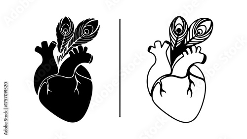 Heart anatomy with peacock feathers with transparent background