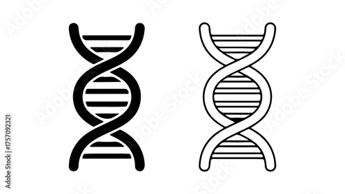 DNA structure outline with transparent background