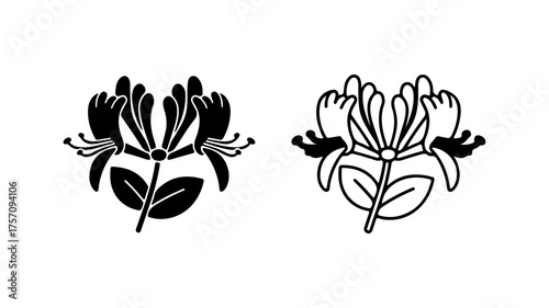 Honeysuckle flowers outline with transparent background