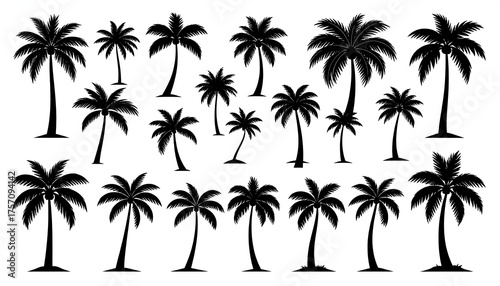 Fototapeta Naklejka Na Ścianę i Meble -  Silhouetted collection of varied palm tree shapes