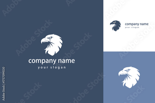 Eagle Head Logo Design A Symbol of Strength and Freedom.