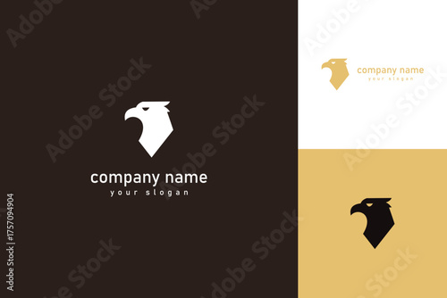 Eagle Head Logo Design Minimalist and Modern Bird of Prey Icon.
