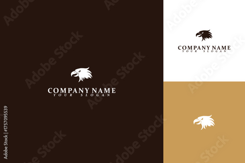 Eagle Head Silhouette Logo Design for Branding and Identity.