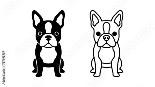 French bulldog outline with transparent background