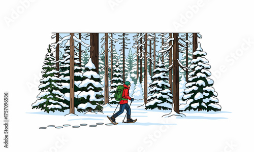 Person snowshoeing through a dense, snow-covered evergreen forest.