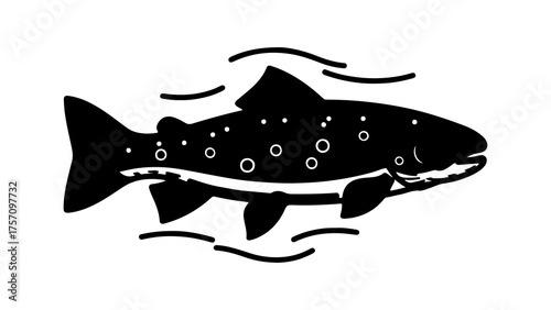 Spotted trout swimming with transparent background