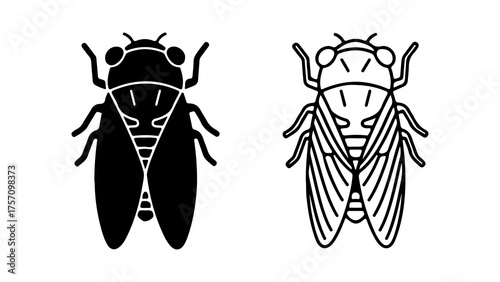 Cicada insect outline with transparent background