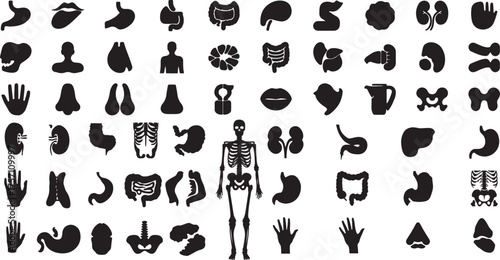  anatomy icons, medical organs, human body vector, biological structure, body system, internal anatomy, healthcare icons, organ design, physiology symbol, medical diagram
