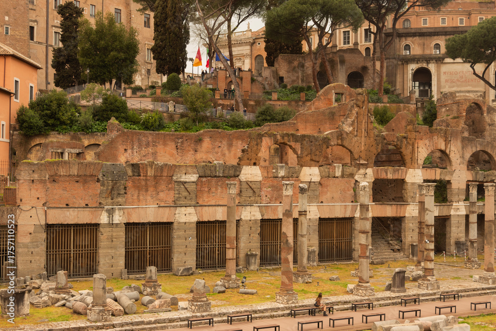 Fototapeta premium view of the roman forum in rome