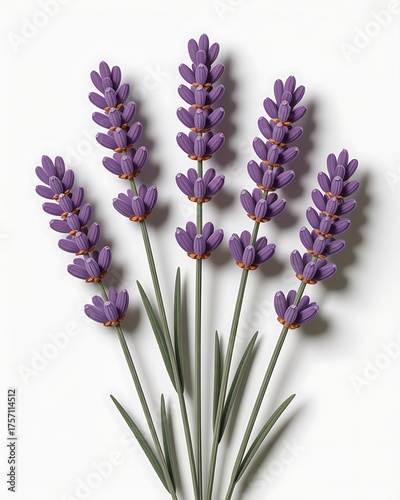 Stylized Lavender Flower Bunch on White Background