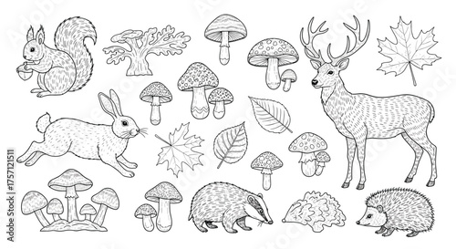 A whimsical collection of woodland creatures and autumn elements for creative projects.