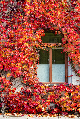 Photography Stockholm, Sweden A residential apartment building facade with fall leaves on Parkgatan in the Kungsholmen district