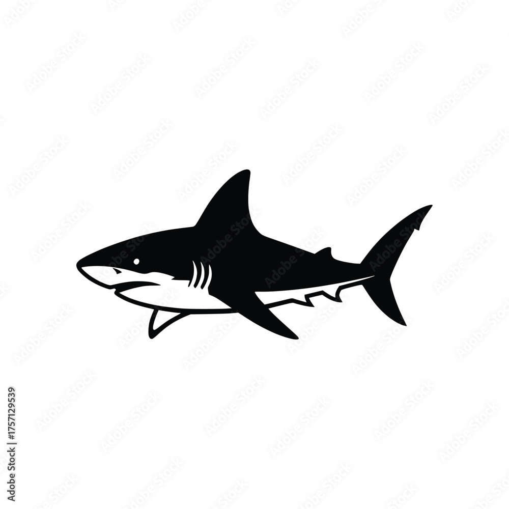 Obraz premium Fierce Shark Predator Marine Animal Vector Illustration