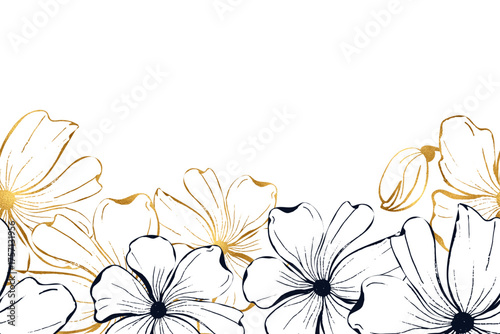 Poppies flower seamless boarder for card or invite. Line art ink hand drawn floral vector background