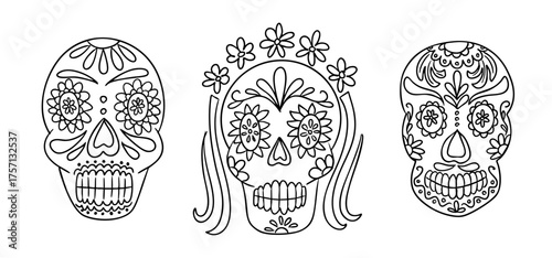 Set of hand drawn sugar skulls with floral decorations and ornate line art, black outline on white background. Concept of mexican holiday, day of the dead and cultural art design