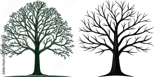 Two stylized bare trees branching out naturalistic drawing style for artistic projects