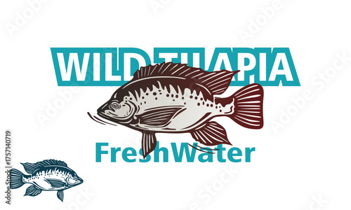 best tilapia fish fresh water logo, silhouette of great fish swimming vector illustrations