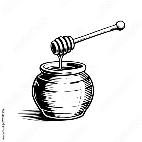 Hand-drawn honey dipper dripping into a jar, vintage engraving style, on a white background. Concept of natural sweet food and beekeeping