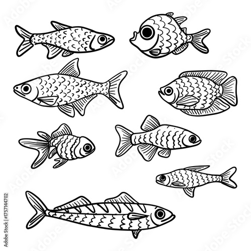 A set of graphic fish of different sizes and species. Black outline. Styled illustration of aquatic animals. Perfect for marine design, patterns, educational materials, and decorative projects.