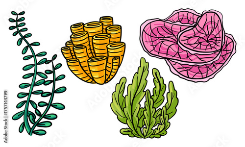 Brightly colored corals and sea plants in a flat style with a black outline. Elodea Canadian, Sarcophyton, tubular, Aponogeton nats, coral flower. Hand-drawn marine elements for ocean-themed designs