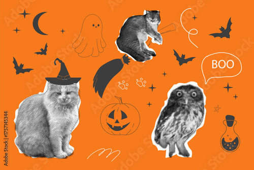 Halloween collage cat with witch hat torn paper, bat, ghost, funny owl doodle swirl background. Retro y2k poster, banner. Trick or treat spooky trendy poster.