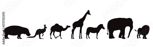 Safari Wild Animal Silhouette Vector Collection
