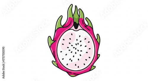 Dragon fruit half illustration with vibrant pink skin, green scales, and white flesh speckled with tiny black seeds, showcasing its tropical freshness and exotic appeal.