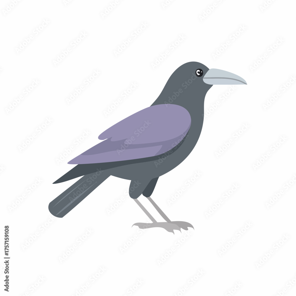 Obraz premium Minimalist flat vector illustration of a dark gray crow or raven bird standing