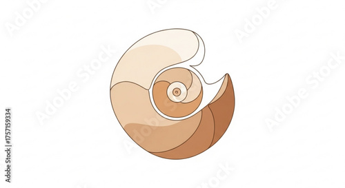 Stylized nautilus shell cross-section illustration showcasing the golden ratio spiral, perfect for nature, science, or geometric design concepts.