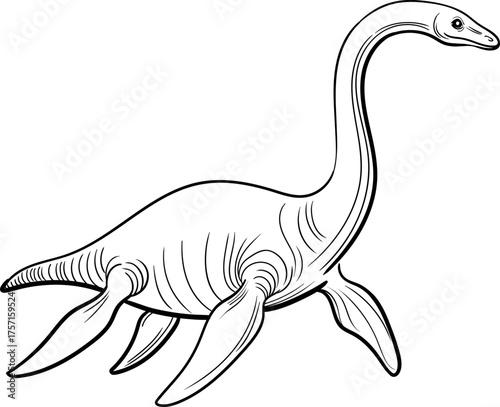 Plesiosaurus, linear illustration. Marine prehistoric reptile with a long neck and four flippers, black and white outline, isolated on white.