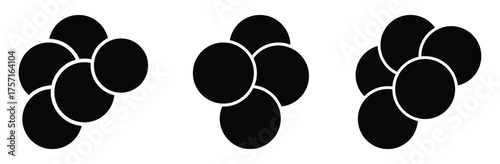 Set of Circle Photo Frame. 5,6,7 photo collage template. black and white picture wall album for abstract background, vector illustration. 