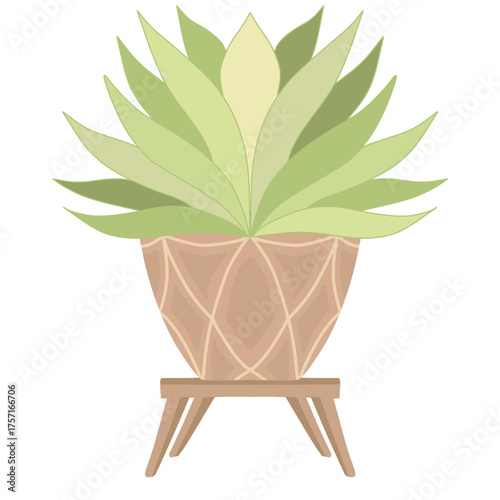Indoor potted houseplant on stand interior design vector illustration. Hand drawn succulent plant in decorative planter isolated on white background